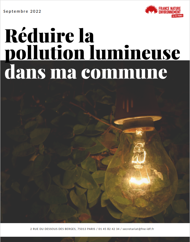pollution_lumineuse.png