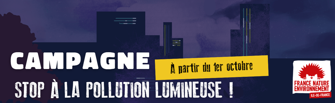 bandeau campagne stop pollution lumineuse avec en fond des immeubles dans la nuit