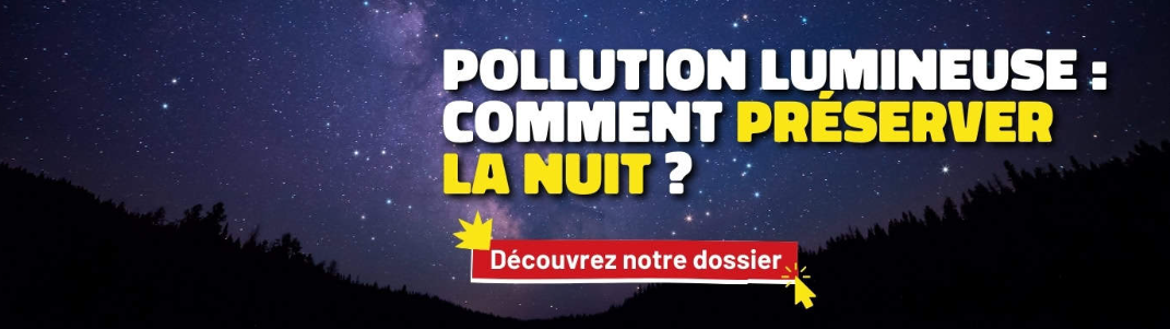 pollution lumineuse, ciel étoilé forêt, arbres dans la nuit