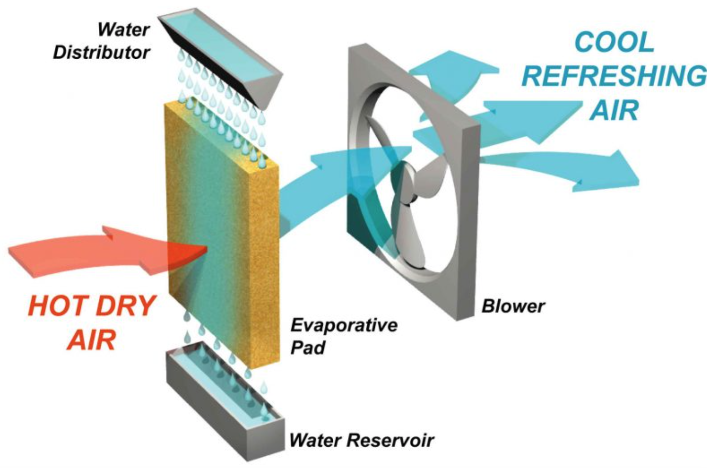 Une image contenant texte, capture d’écran, conception
Le contenu généré par l’IA peut être incorrect.