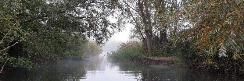 Image du lac de Créteil