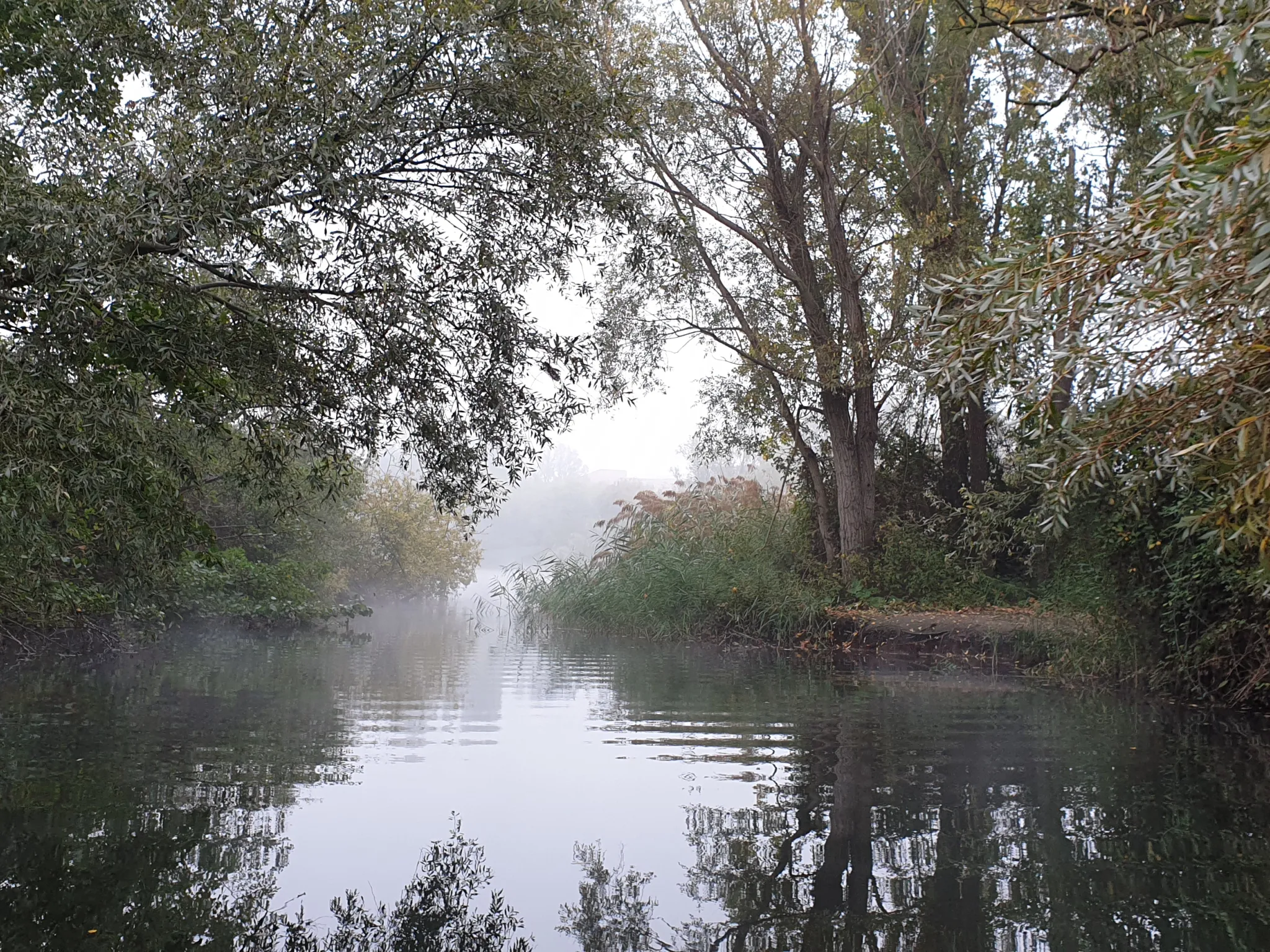 Image du lac de Créteil