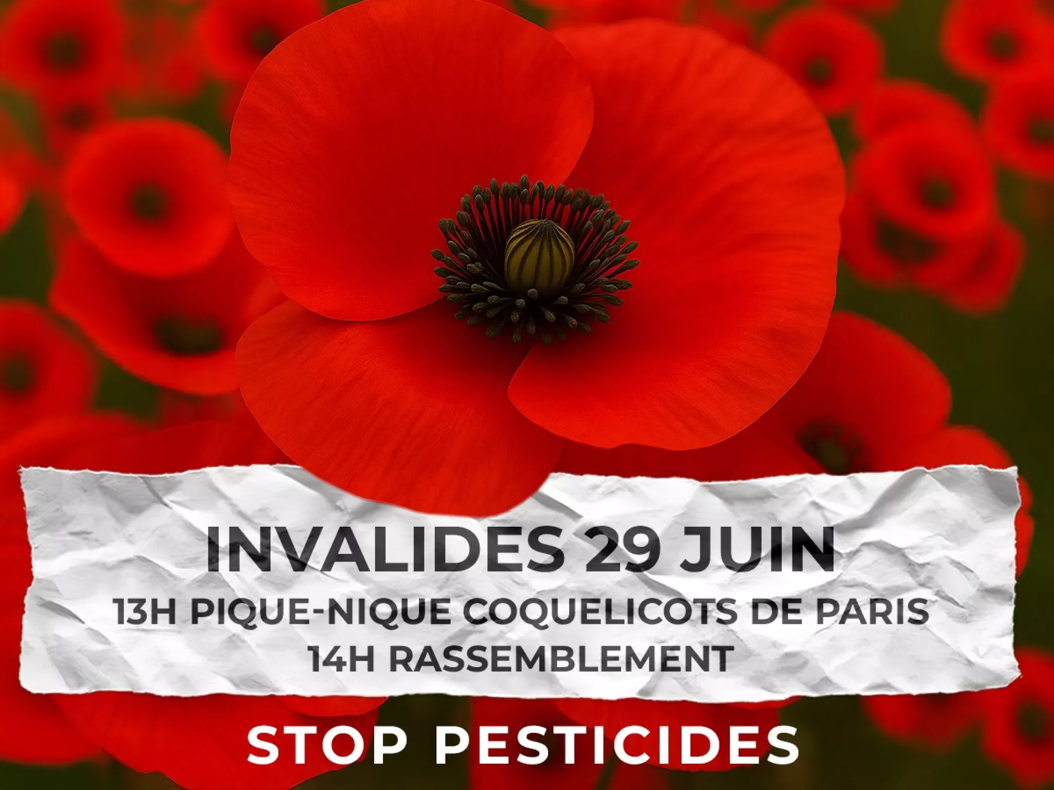 coquelicot géant avec écrit "stop pesticides"