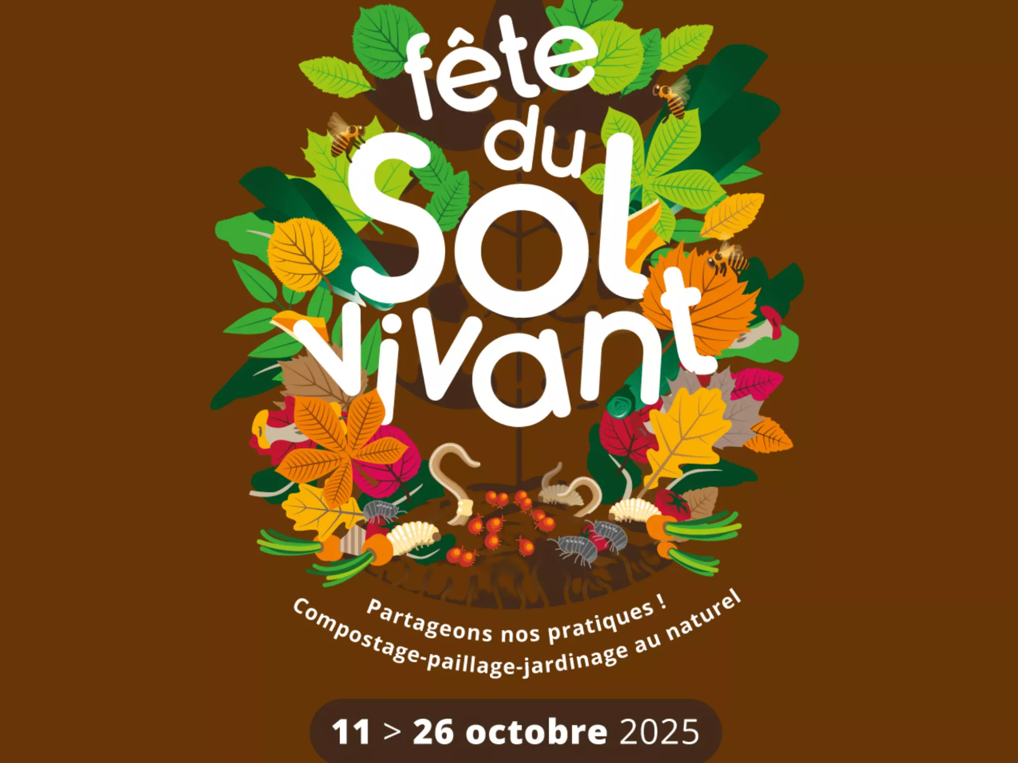 illustration d'un sol, avec feuilles et habitants du sol