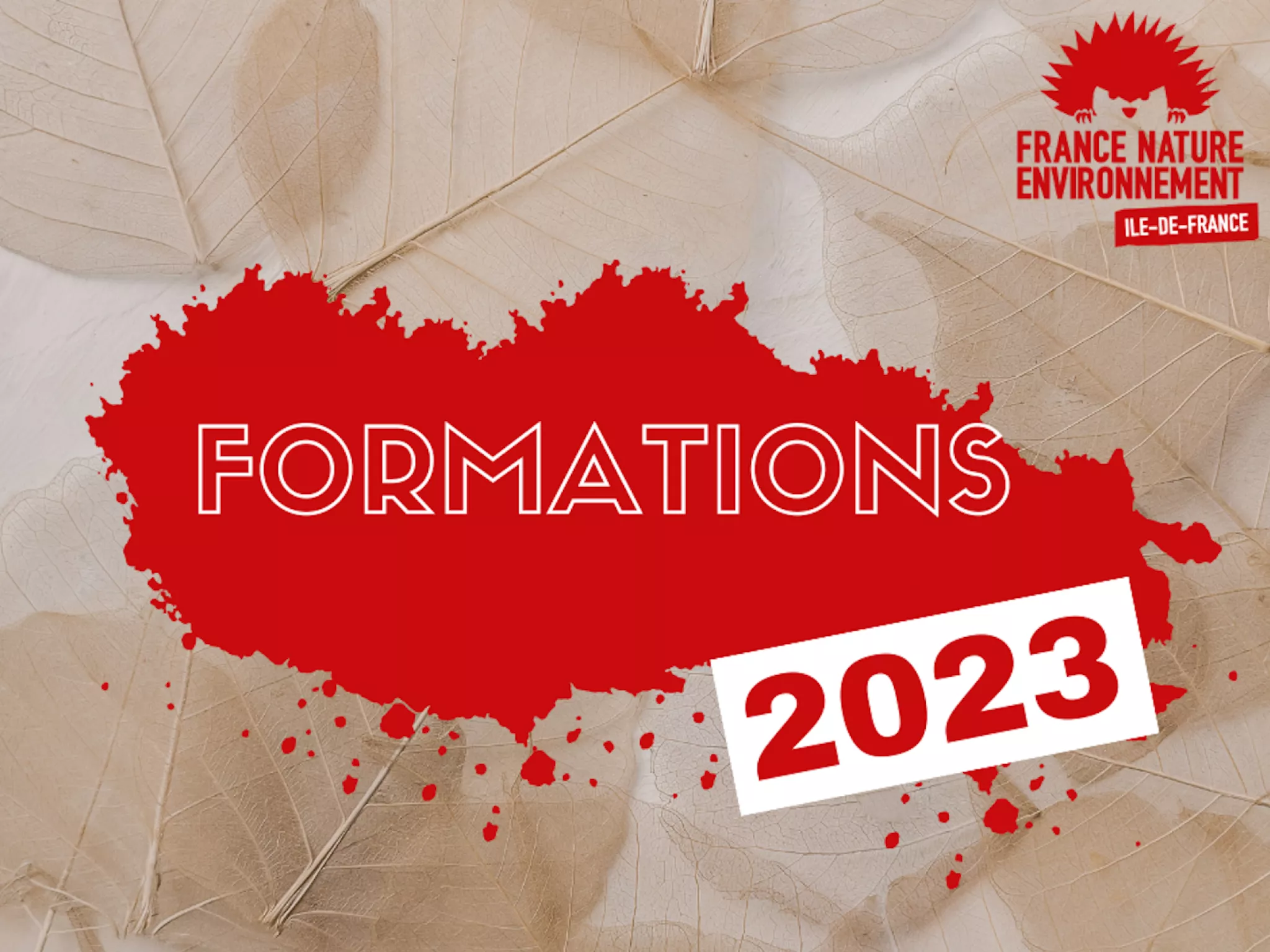 Formation 2023