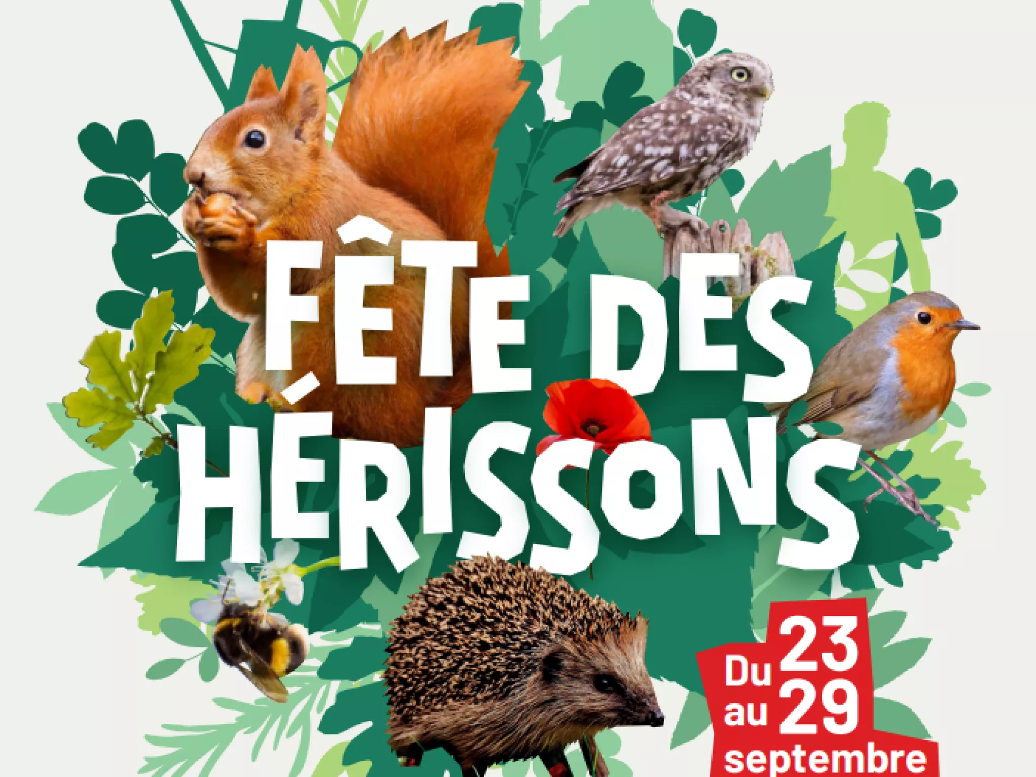 "Fête des hérissons" est écrit en blanc en grand sur l'affiche. En fond, des feuilles et de multiples animaux dont un écureuil, un hérisson, une abeille, un rouge-gorge et un hibou.