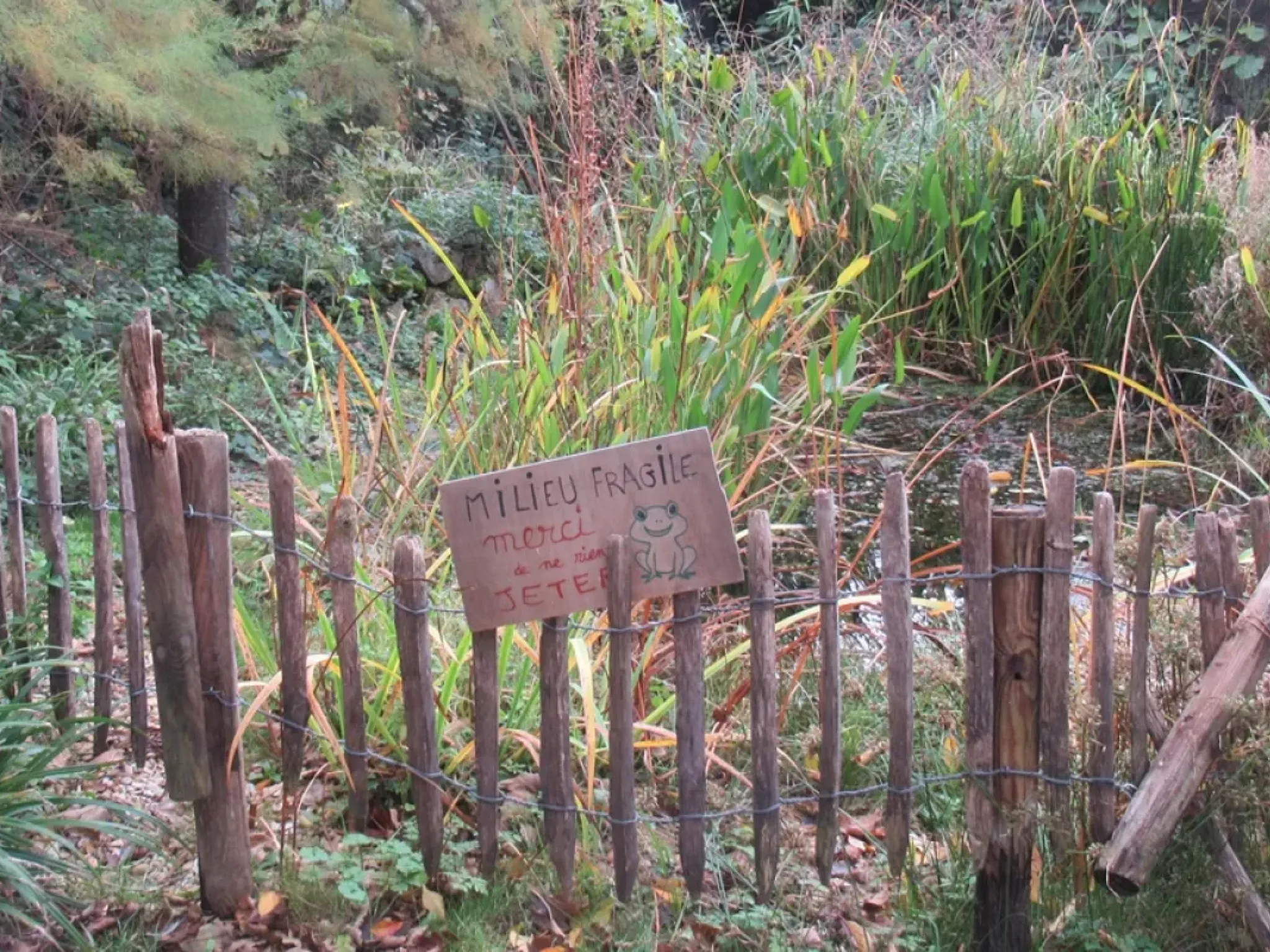 Image des murs à Pêches