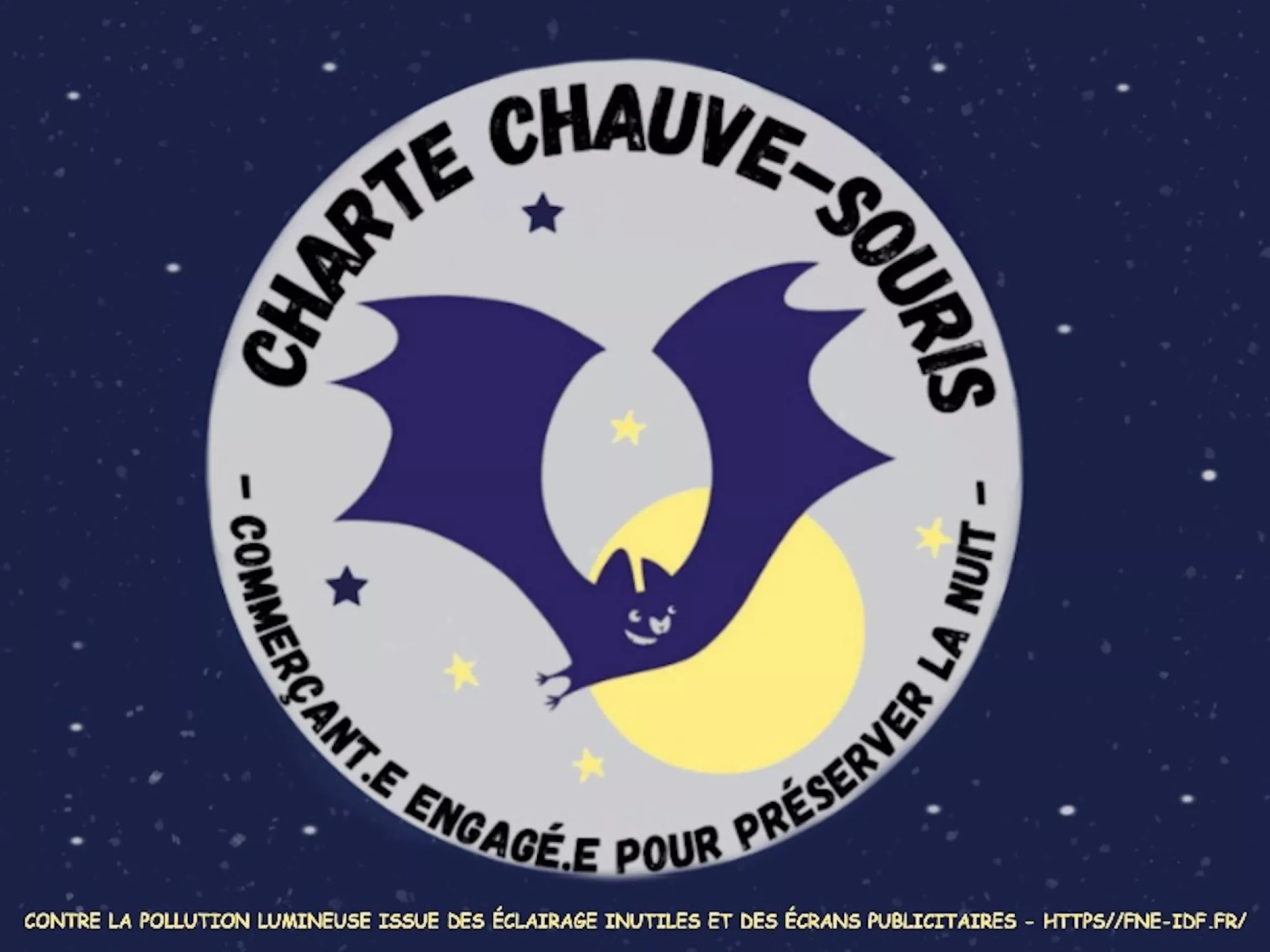 Chartre Chauve-Souris