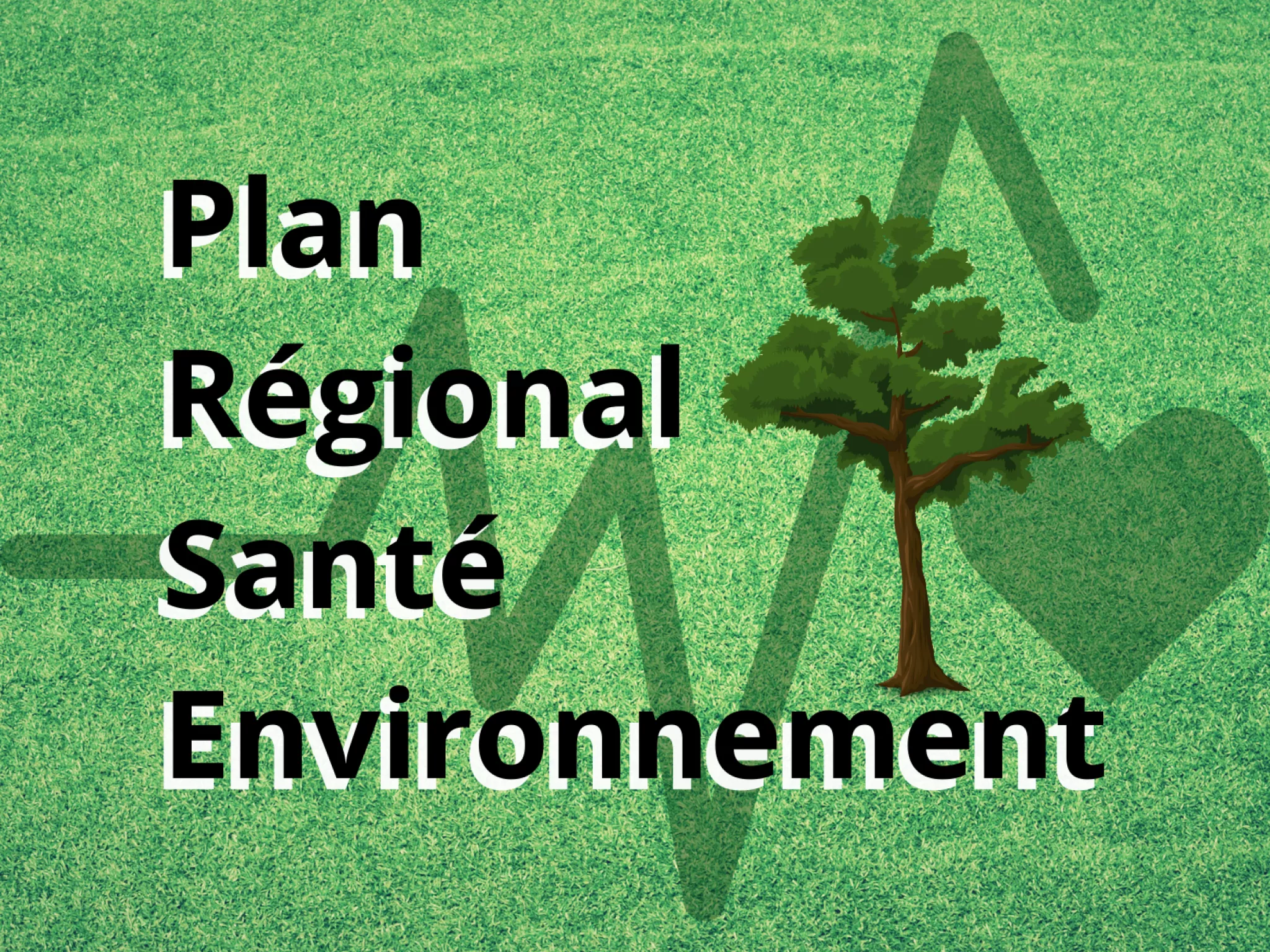 Plan régional santé environnement