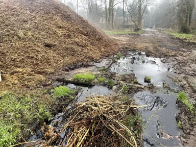 Forêt de Verrières