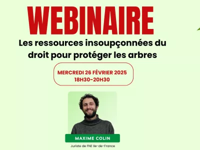 Recap webinaire "les ressources insoupçonnées du droit pour protéger les arbres"