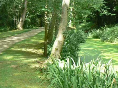 Forêts urbaines