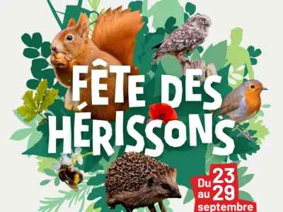 "Fête des hérissons" est écrit en blanc en grand sur l'affiche. En fond, des feuilles et de multiples animaux dont un écureuil, un hérisson, une abeille, un rouge-gorge et un hibou.