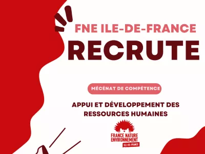 FNE recrute ! Mécénat de compétence Appui et développement des ressources humaines (H/F)