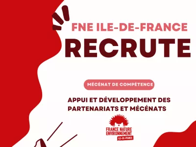 FNE recrute ! Mécénat de compétence Appui et développement des partenariats et mécénats privés (H/F)