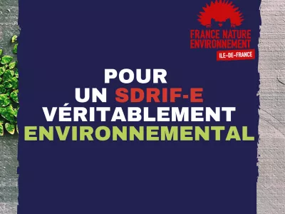 Pour un SDRIF-E véritablement environnemental 