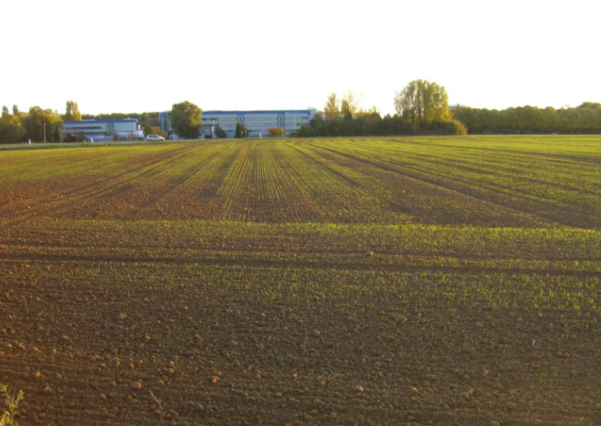 terres agricoles de Saclay