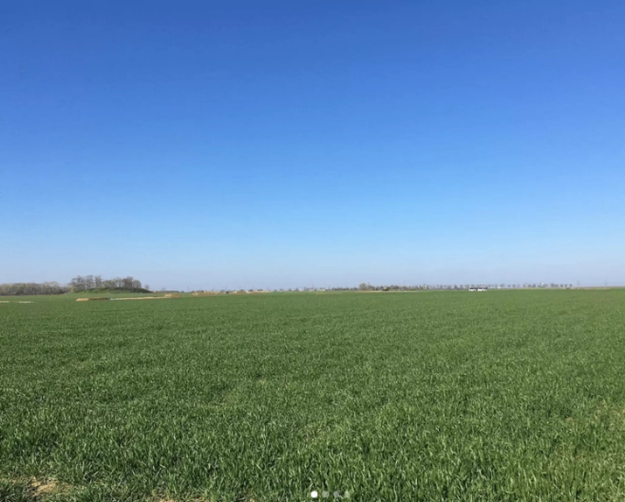 photo des terres agricoles de Gonesse 